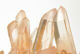 Tangerine Quartz Crystal Cluster with Wood Base - Madagascar #205883-6